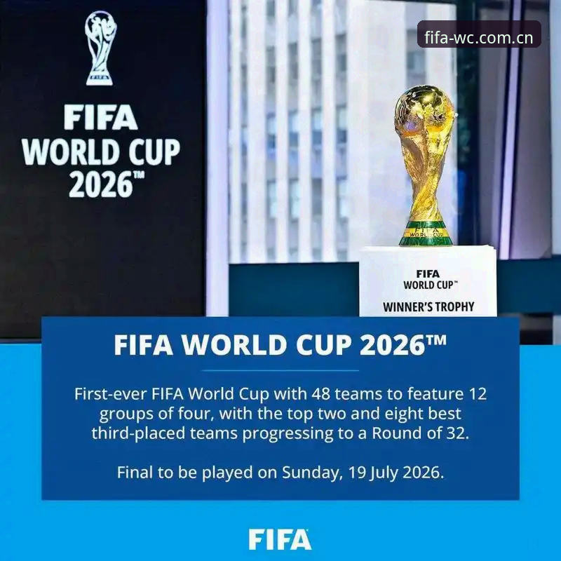 揭秘2026世界杯竞猜官网隐藏技巧：这些高效操作90%的用户都不知道